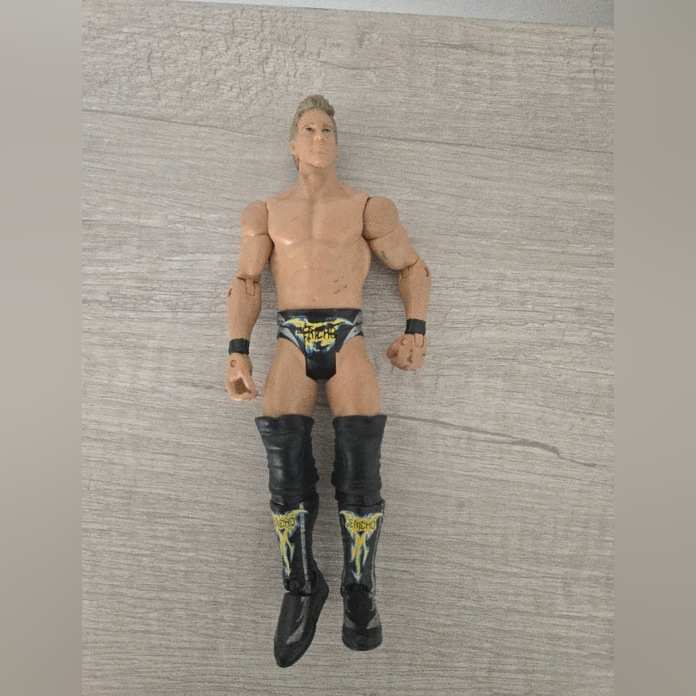WWE Action Figure Chris Jericho Mattel Elite Lost Legends 2011 WWF WCW AEW